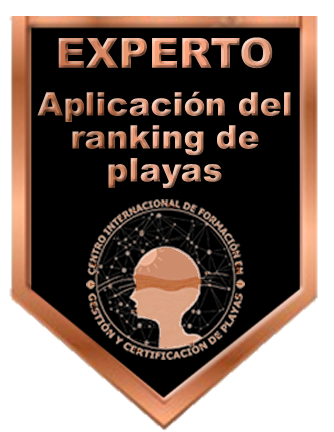 Insignia-Bronce-CMRP