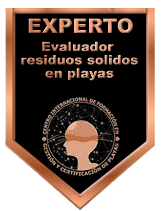 Insignia-Bronce2-CMRS