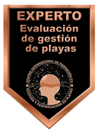 Insignia-Bronce-CMEP
