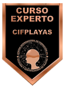 Insignia-Experto